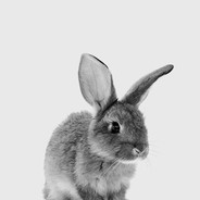 bunbun