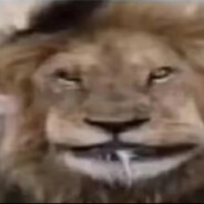 Посрал в кабину