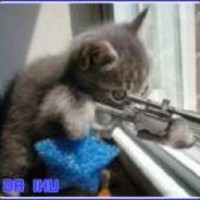 қąŋι•ъąﻯגөя