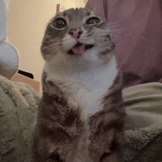 Whiskas