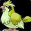 Level 3 Shiny Pidgey