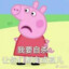 弗罗里达州鉴黄大队长