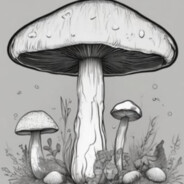 MUSHROOM1211