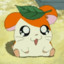 Hamtaro