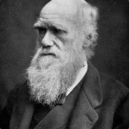 Darwin