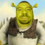 MODED SHREK