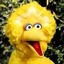 Big Bird the Weedlord