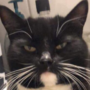 Farbror Sexualförbrytare!