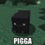 Pigga