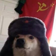 rata82 - steam id 76561198802337062