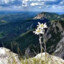 Edelweiss