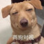 空门蓝