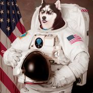 Dirty Wiener - steam id 76561197961403280