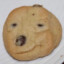 smug dog cookie