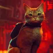 fuzzy cat - steam id 76561199582308172