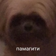 FB do run, proverayte