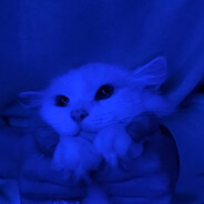 На мурмулях