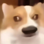 我的建议是整点薯条