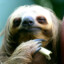 sloth ᶠᵘᶜᵏᵧₒᵤ