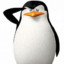 Skipper