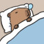 Capybara
