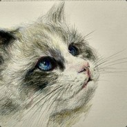 魔法少女二狗子