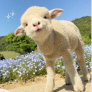 聽到你是真美好，看到你是真沒好。