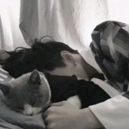 亚美利加金角巨兽一口咬碎太阳系