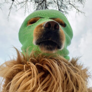 她求我不要塞冰块