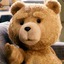 Thunder Buddy | TED