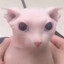 Quimi