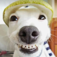 (Ёбикбобик)