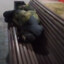 волосатое яйцо