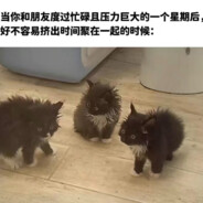 猫狗汉堡
