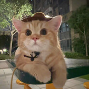 AA假情-假意-你假温柔08