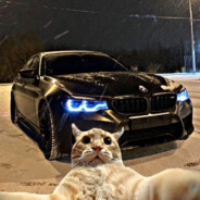 BMWp33k - steam id 76561199157632256