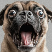 Crazy Dog