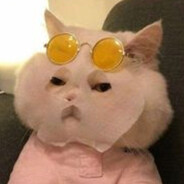 没有感情的SCI机器