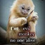 evil monkey no one alive