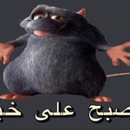 Iraqi