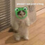 fwost