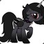 Black Pony