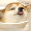 丶忻