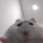 Norilie