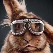 DuWabbiT 's avatar
