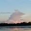 Cloudy Chicken