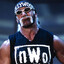 ~nWo~ h0llyw00d h0g4n