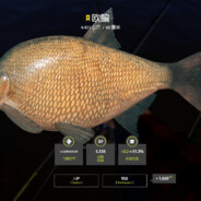 理塘bvvdのdingzhen