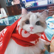 你少看点二次元呀！