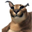 Шлёпа's avatar